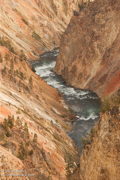 YELLOWSTONE & GRAND TETON NATIONAL PARK